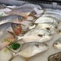 Loại cá rẻ bèo bán đầy chợ Việt được Nhật Bản ưa chuộng làm sushi và sashimi