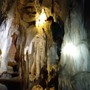 Phát hiện hang động nguyên sơ giữa rừng nguyên sinh ở Nghệ An