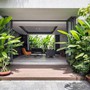 Loại cây lọc không khí nếu trồng trước cửa nhà gia chủ có thể yên tâm hưởng phúc