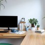 3 loại cây thủy sinh thu hút tài lộc cho bàn làm việc những ngày Thu
