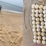 Phát hiện dấu vết dài 2,1 mét và 44 quả trứng lạ trên bãi biển: Cơ quan chức năng báo tin mừng sau đó