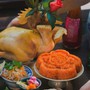 Đừng đặt sai kẻo mất lộc! Gà cúng nên quay ra hay vào và có được thắp hương gà mái?